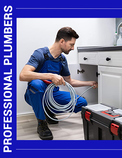 Professional Plumbers Professional Plumbers in Sugar Land TX